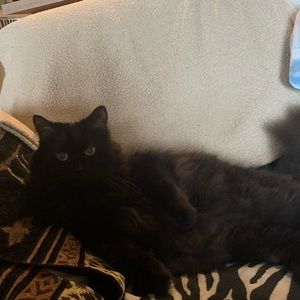 Meet your Posher, Jade